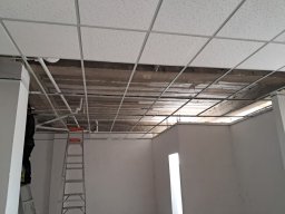 img-semana_2-00 28